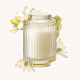 Amélie - Champs de Tuberose  7oz Candle