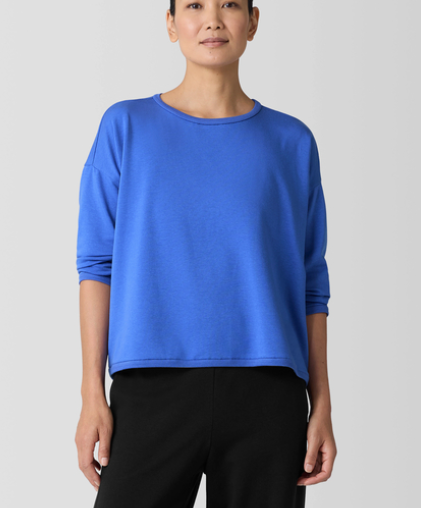 Cozy Brushed Terry Round Neck Cropped Box Top