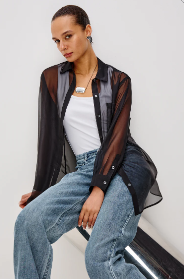 Sofiya Sheer Long Sleeve Blouse