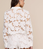 Seychelle Cropped Buttondown